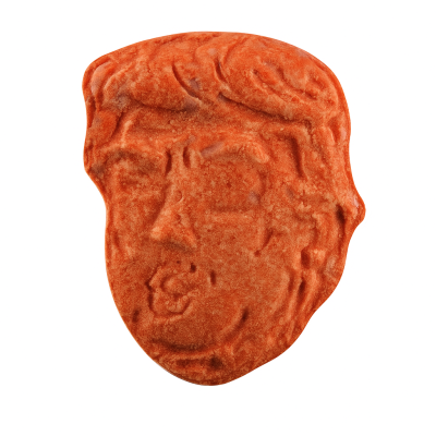 Donald Trump(Molly)